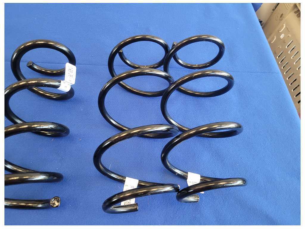 2024 Ford Mustang GT S650 Set Coil Springs Front Rear Suspension M24 - The Parts Farm