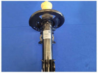 2024 Ford Mustang GT S650 Front Strut No Spring NTO Left Driver M42 - The Parts Farm