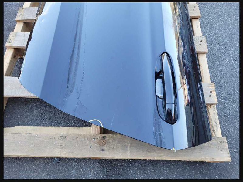 2015-2023 Ford Mustang GT S550 Driver Left Front Door Coupe Shell Paint G12217 - The Parts Farm