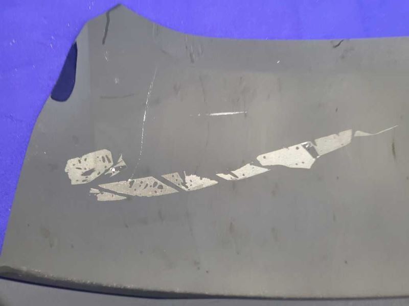 2015-2017 Ford Mustang GT S550 Trunk Deck Lid Spoiler Wing Coupe Paint G1 - The Parts Farm