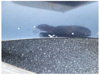 1994-1995 Ford Mustang GT 5.0L Front Hood Shell Bonnett *Scuffs* Paint NA 2521 - The Parts Farm
