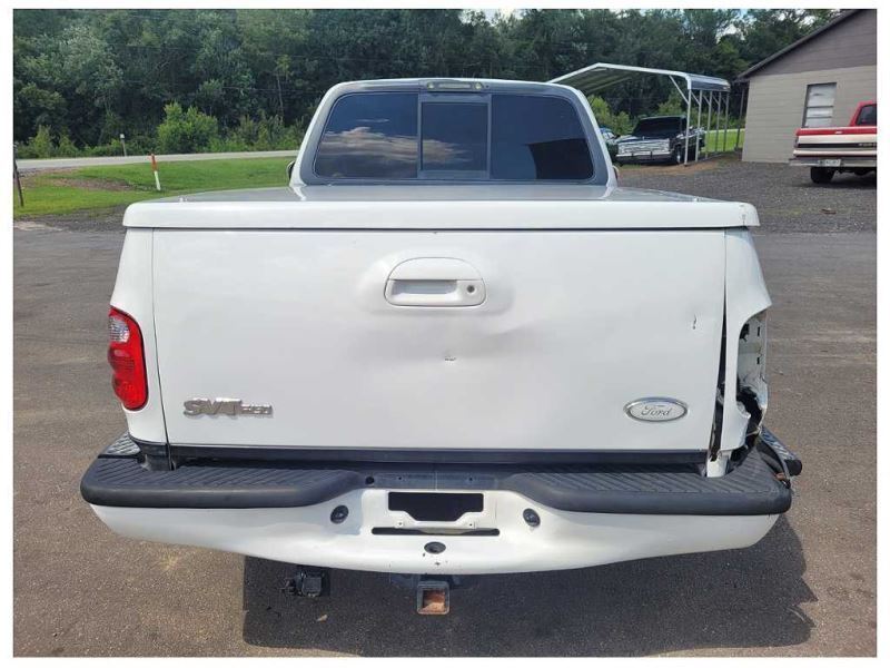 1999-2004 Ford Lightning F150 SVT Pickup Truck Emblem Rear Tail Gate Back Silver - The Parts Farm