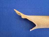 2004-2006 Porsche Cayenne Turbo 4.5L Passenger A Pillar Cover Trim 2137 - The Parts Farm