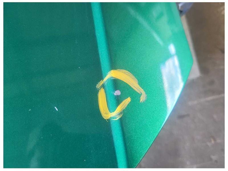 1999-2004 Ford Mustang Cobra SVT DOHC Passenger Front Door Shell Paint SW 2570 - The Parts Farm