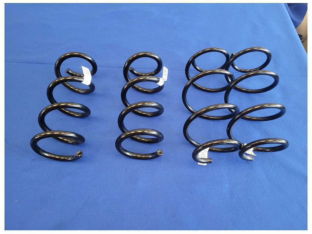 2024 Ford Mustang GT S650 Set Coil Springs Front Rear Suspension M24 - The Parts Farm