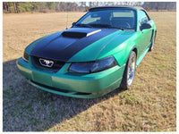 1999-2004 Ford Mustang GT 4.6L Convertible Passenger RH Front Door Paint SW 2312 - The Parts Farm