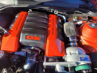 43960051