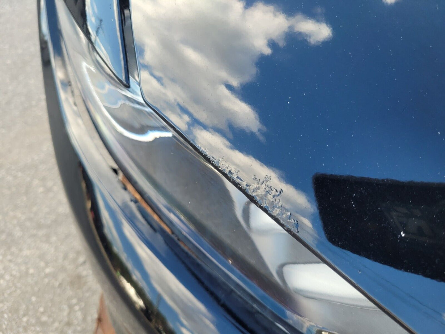 2015-2017 Ford Mustang GT S550 Front Clip Bumper Fender Hood Paint G1 2643 pp1 - The Parts Farm