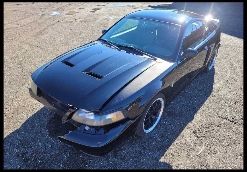2003-2004 Ford Mustang Cobra SVT DOHC 4.6L Front Support Bumper Cover Crash - The Parts Farm