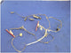 47736020