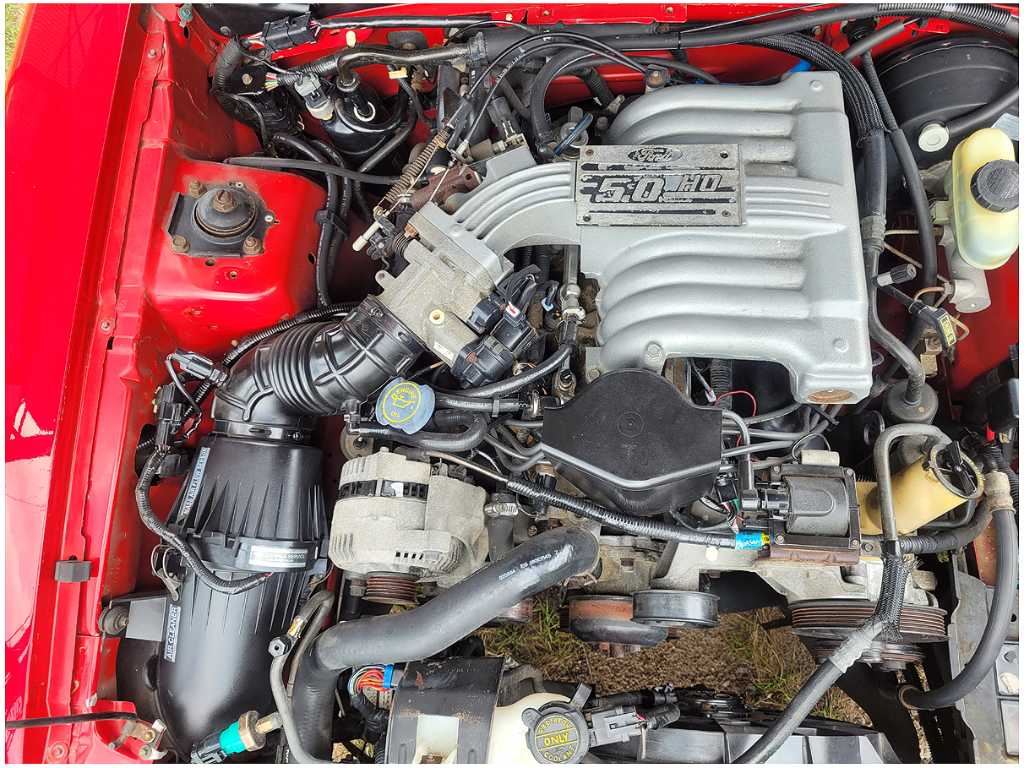 47731005