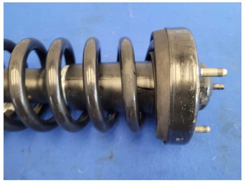 2015-2017 Ford F150 F-150 Pickup Truck Front Suspension Strut Spring 2615 - The Parts Farm
