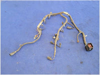 47742885