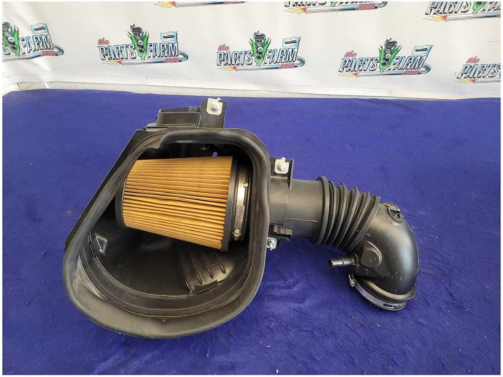 45204556