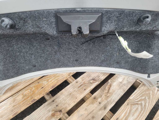 2018-2023 Ford Mustang GT S550 Trunk Deck Lid Wing Spoiler Paint UX 2665
