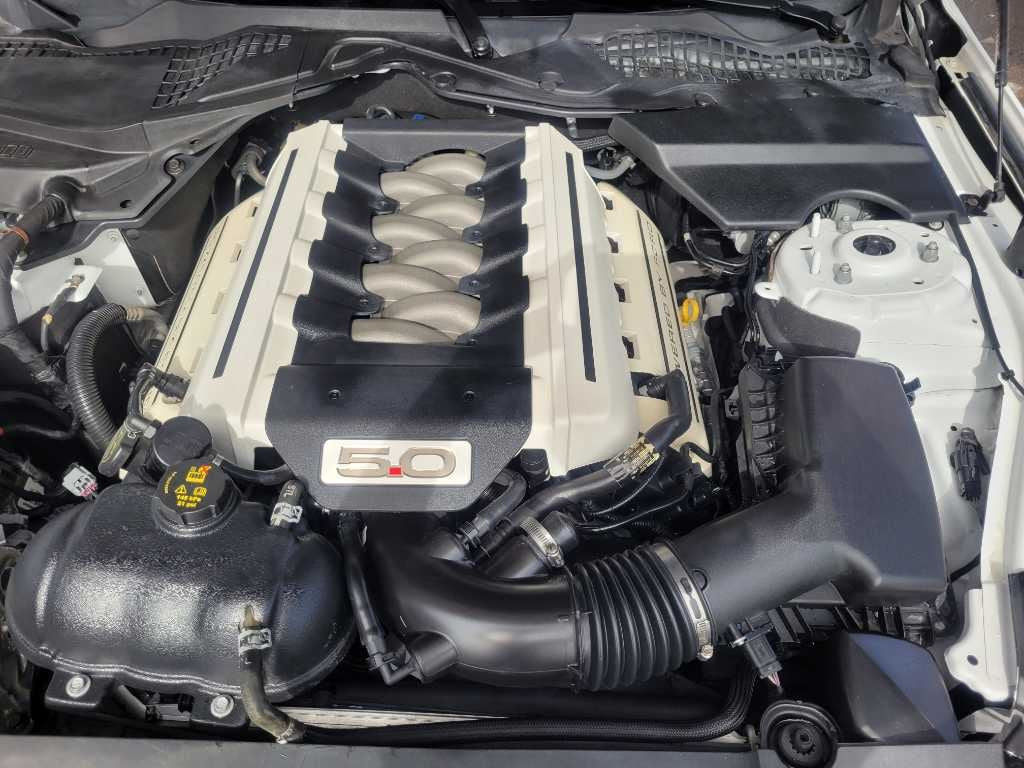 47662928