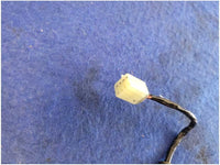 47023730