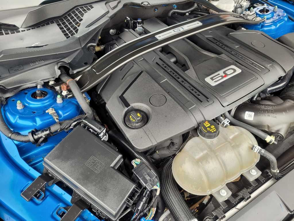 47455066