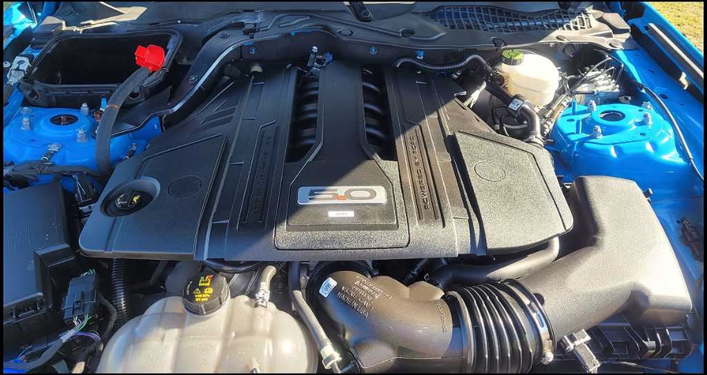44114957