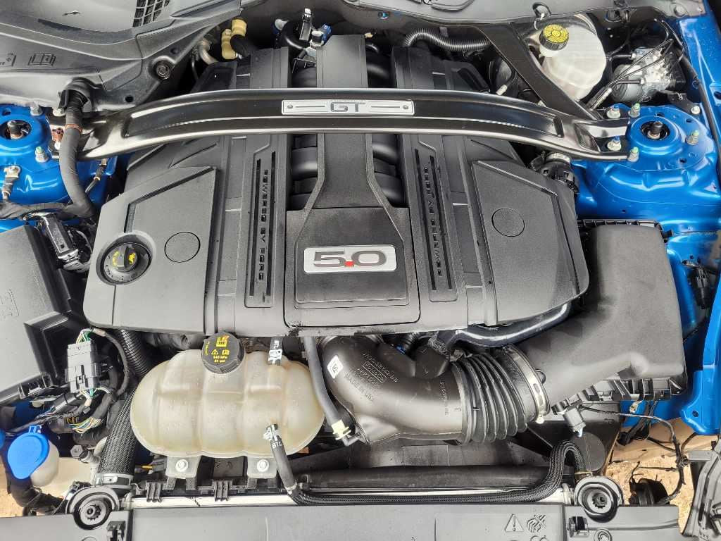 47455066