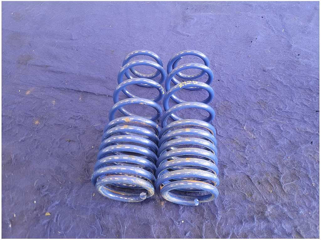 45066041