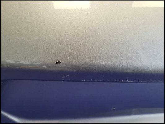 2019-2024 Chevrolet Camaro SS Rear Bumper Cover Lower Valance C43