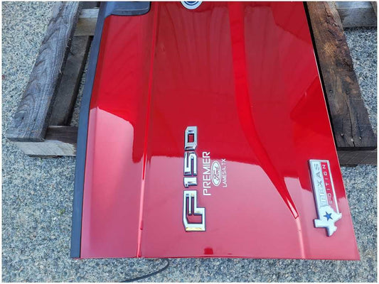 2015-2017 Ford F150 Pickup Truck Tailgate Lift Trunk Camera Paint RR 2755