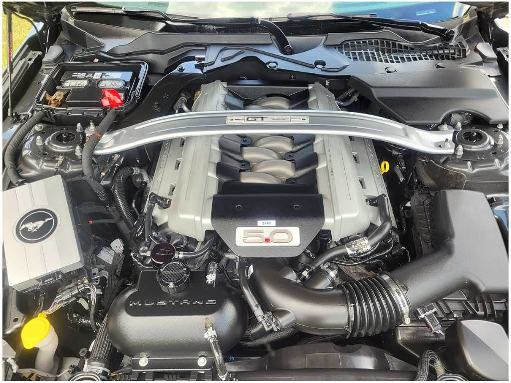 45219054