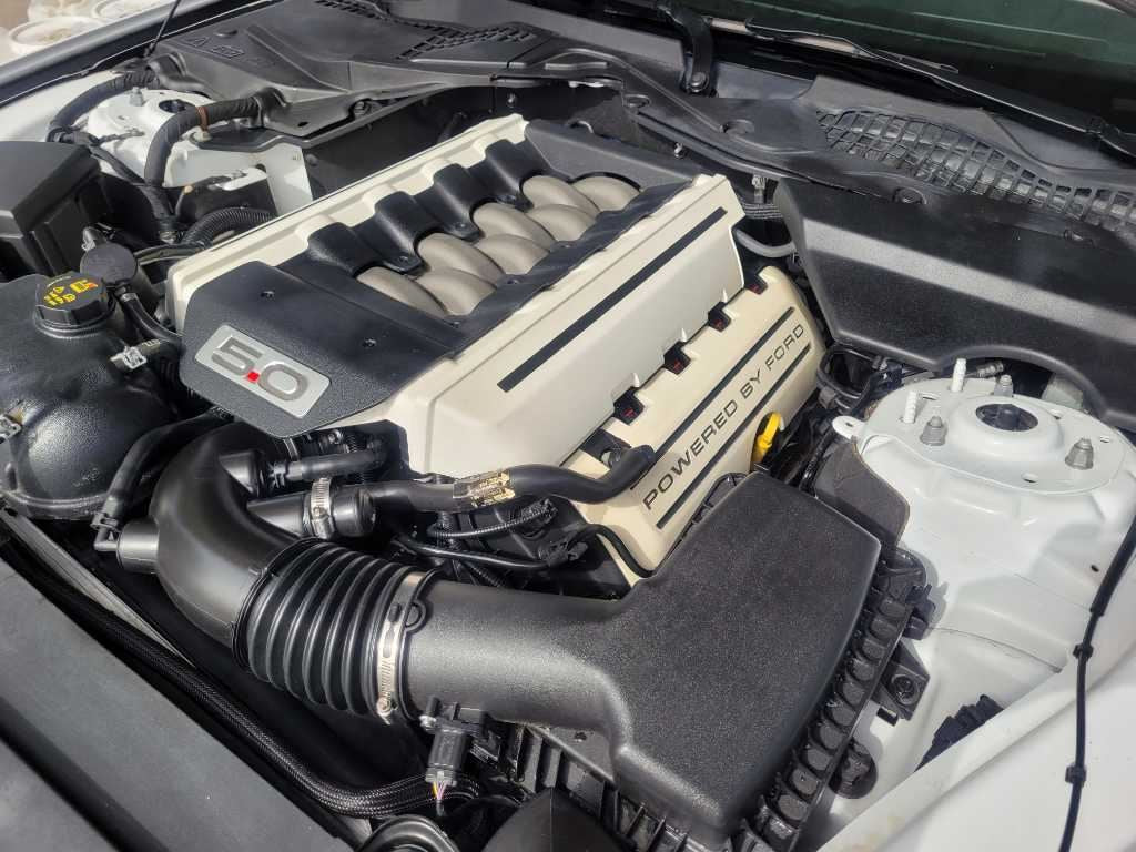 47662928