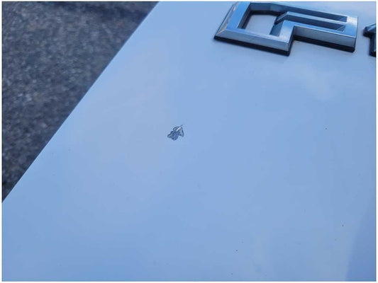 2015-2017 Ford F150 F-150 Truck Trunk Hatch Tailgate No Step Paint YZ 2873