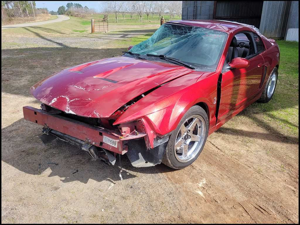44077393