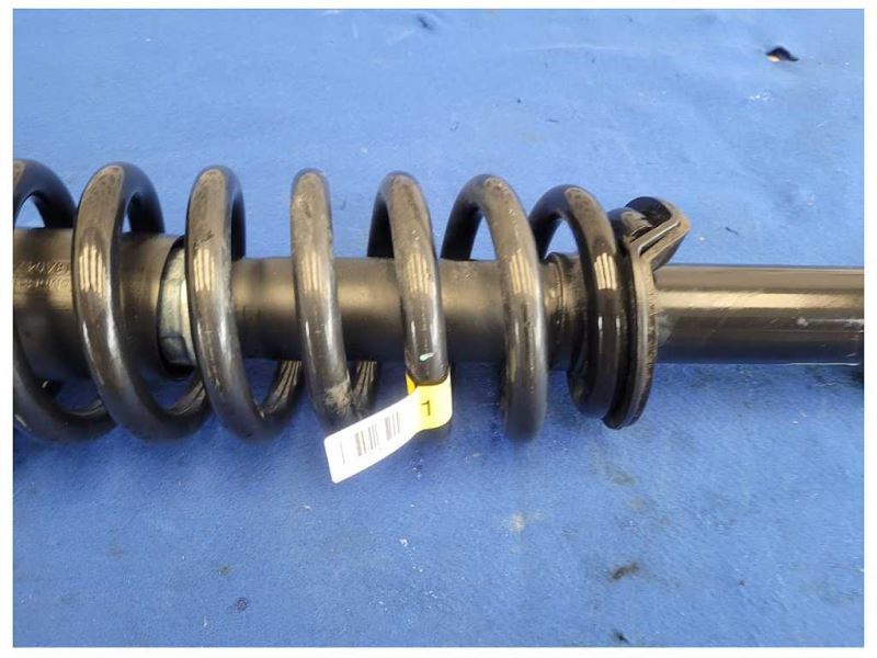 2015-2017 Ford F150 F-150 Pickup Truck Front Suspension Strut Spring 2615 - The Parts Farm