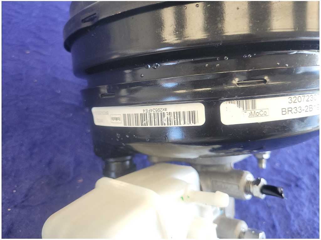 45066034