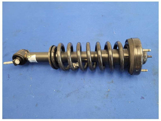 2015-2017 Ford F150 F-150 Pickup Truck Front Suspension Strut Spring 2615 - The Parts Farm