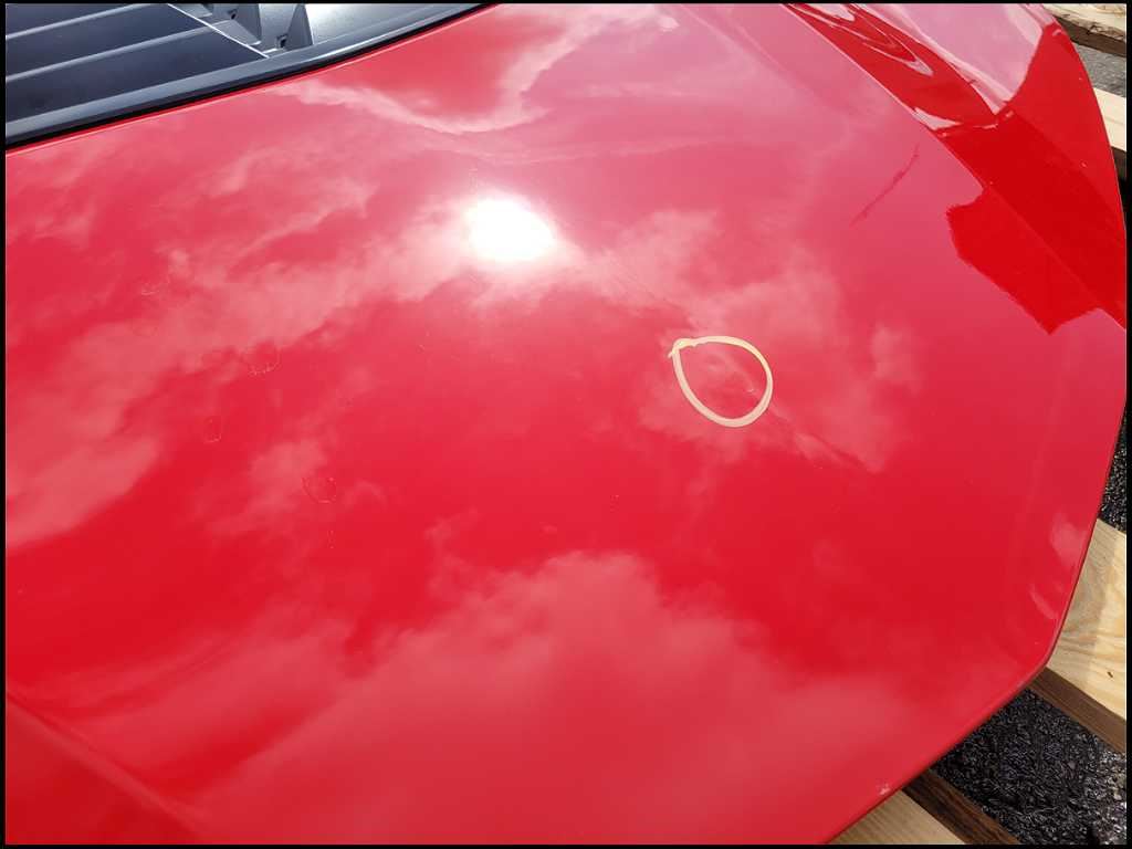 44457482