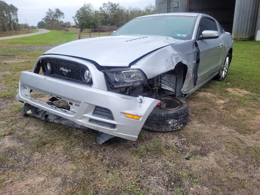 43681984
