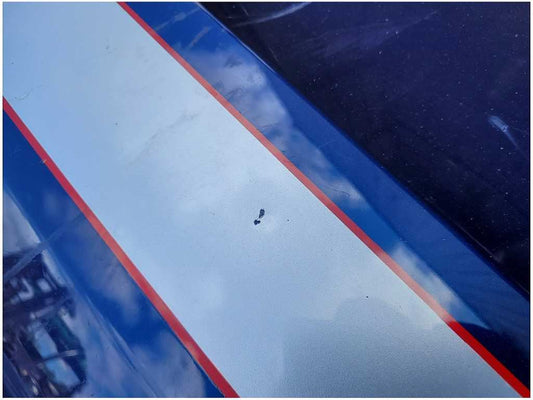 2010-2012 Ford Mustang GT500 Driver Front Door Coupe Shell Paint Blue 2852