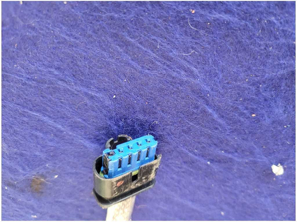 44944954