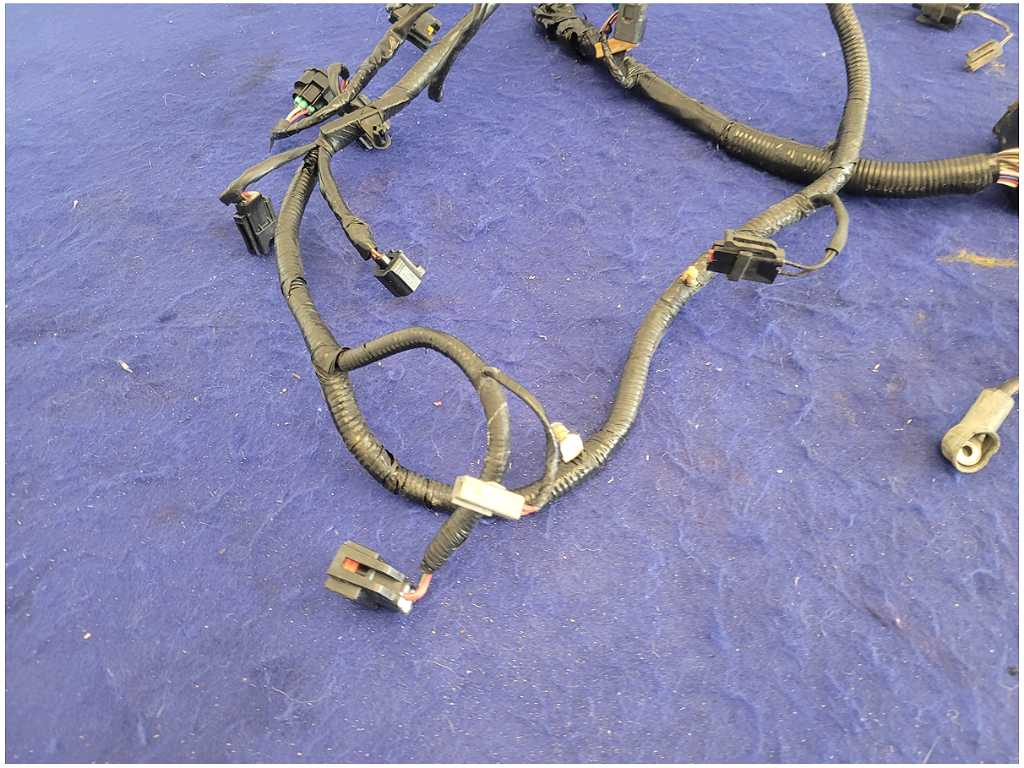 45633093