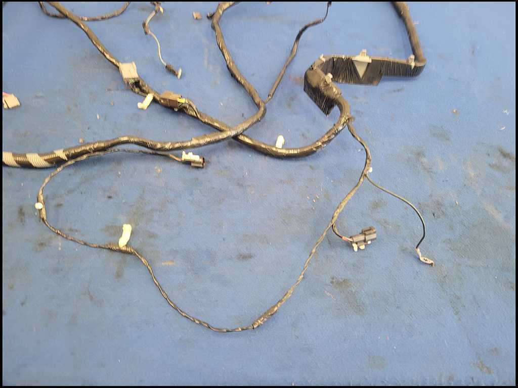 44083411