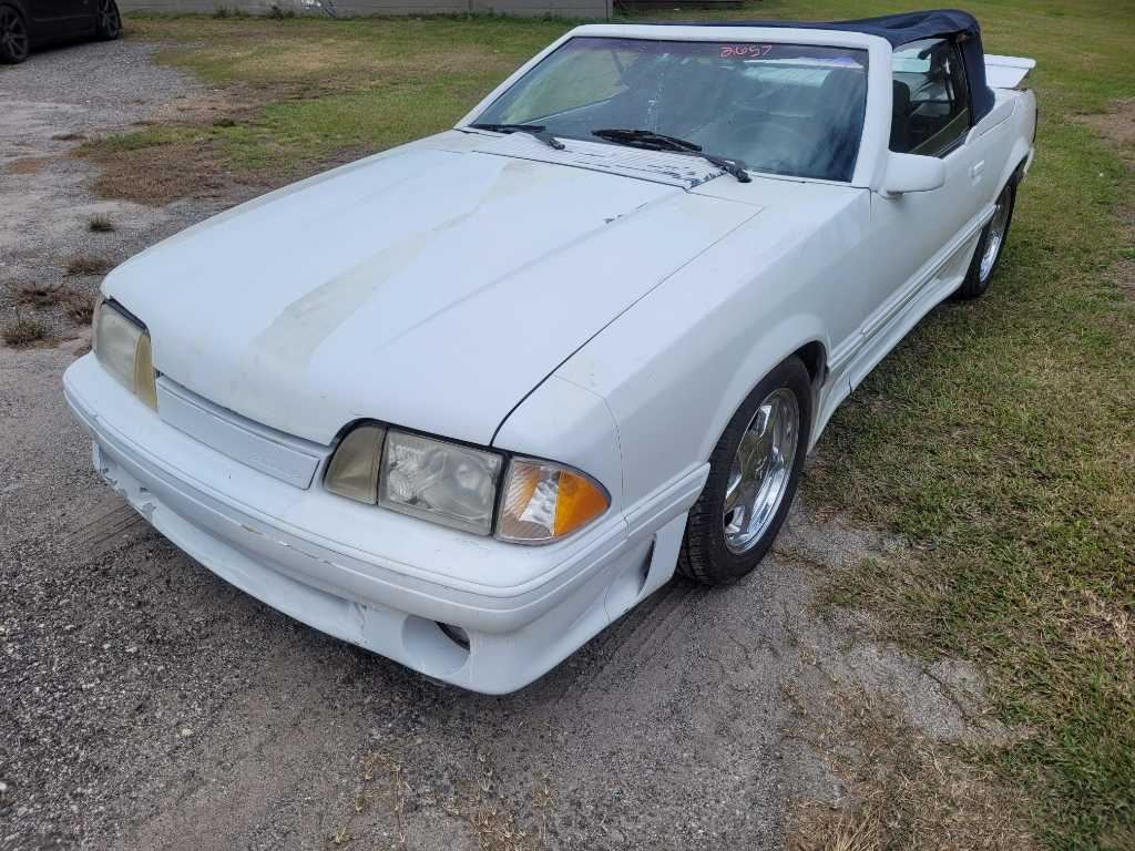 44999351