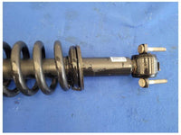 2015-2017 Ford F150 F-150 Pickup Truck Front Suspension Strut Spring 2615 - The Parts Farm