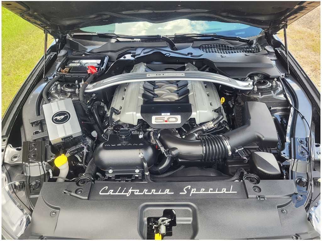 45218782