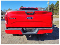 2015-2017 Ford F150 Pickup Truck Rear Back Shock Suspension 2481 - The Parts Farm