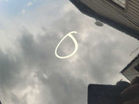 44281226