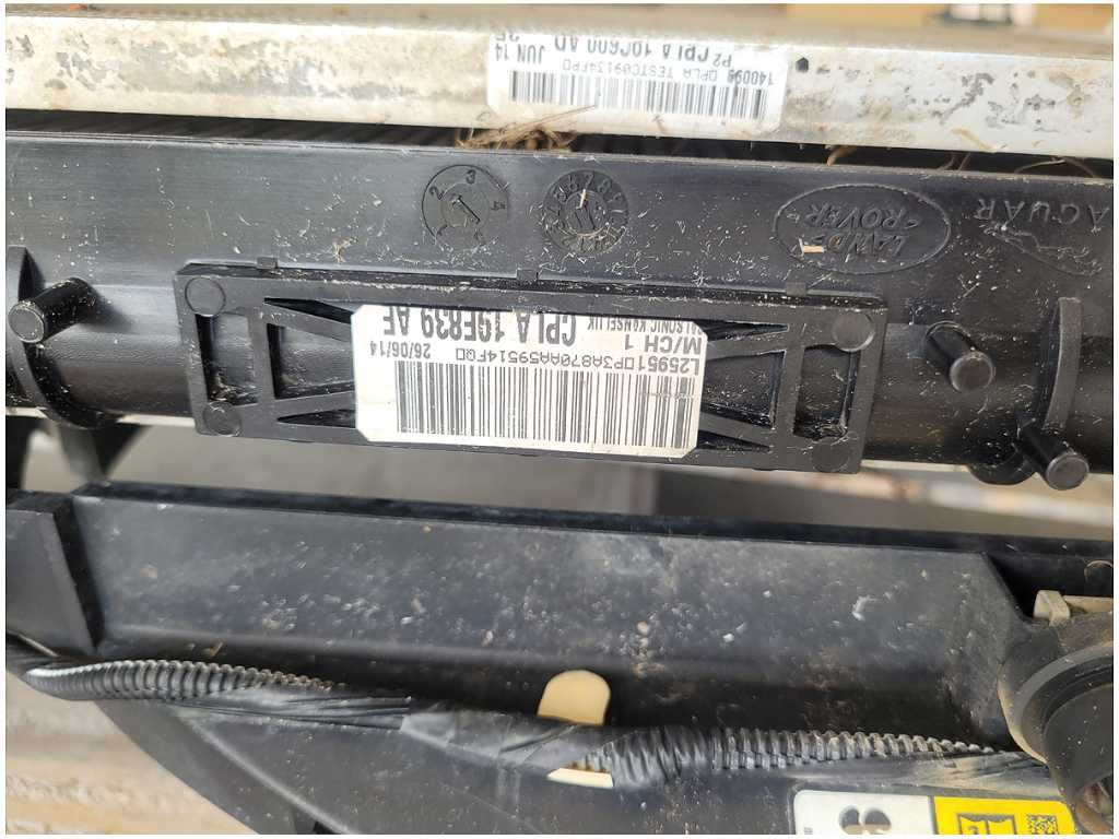 47795959