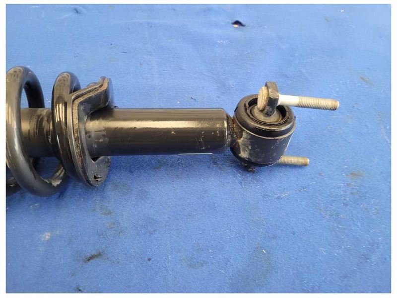 2015-2017 Ford F150 F-150 Pickup Truck Front Suspension Strut Spring 2615 - The Parts Farm