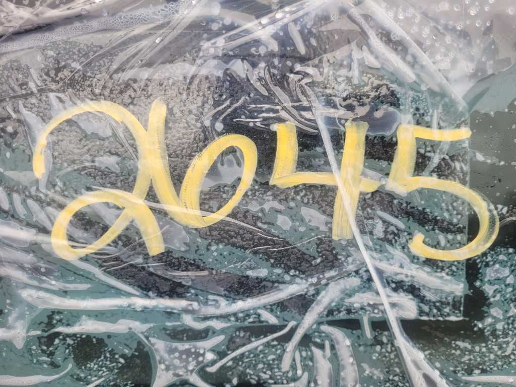 2005-2009 Ford Mustang GT Driver Left Taillight Rear Lane Lamp Light Brake 2645 - The Parts Farm