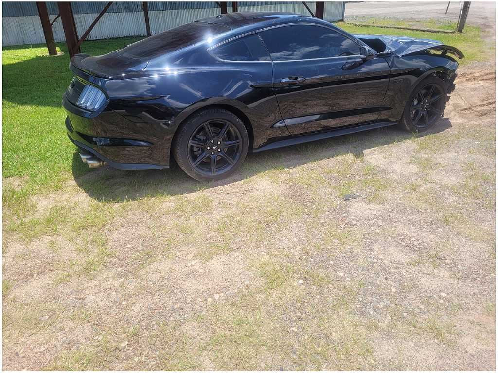 45172391