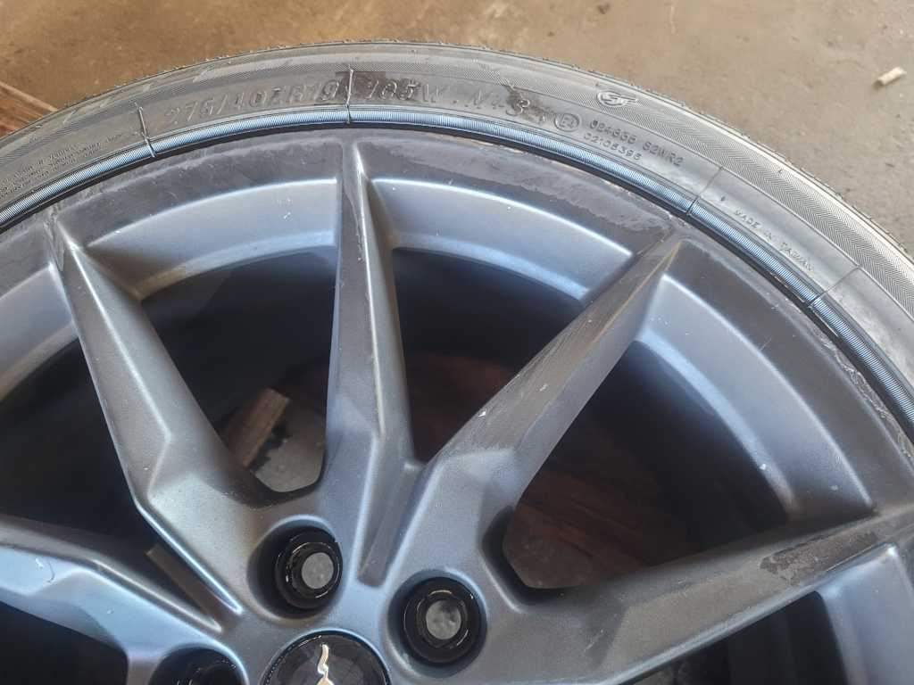 43705704